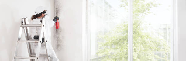 Best Air Quality Testing for Mold Spores  in Blackwell, OK